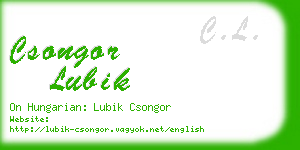 csongor lubik business card